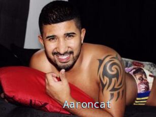 Aaroncat