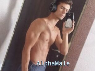 AlphaMale