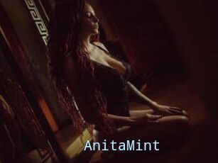 AnitaMint