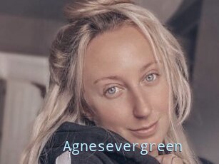 Agnesevergreen