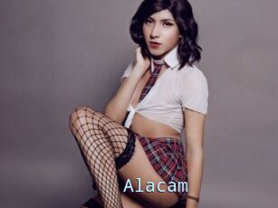 Alacam