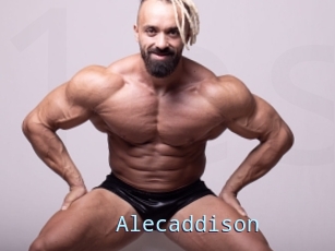 Alecaddison