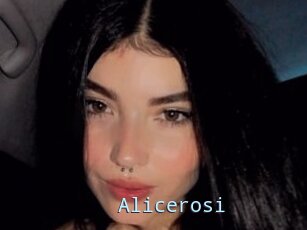 Alicerosi