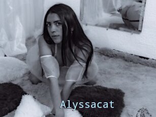 Alyssacat