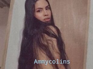 Ammycolins