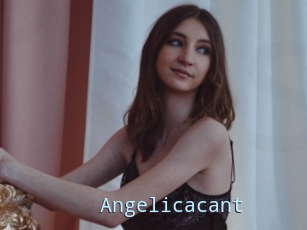 Angelicacant