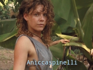 Aniccaspinelli