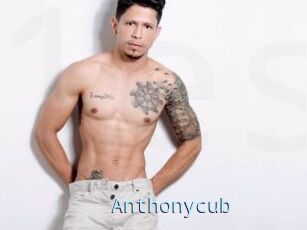 Anthonycub