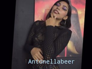 Antonellabeer