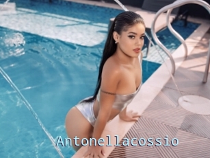 Antonellacossio