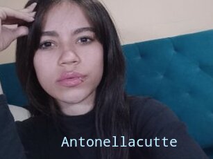 Antonellacutte