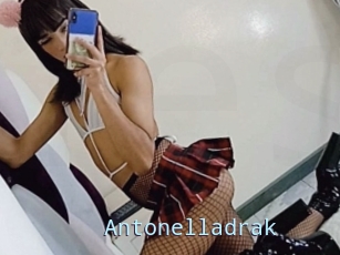 Antonelladrak