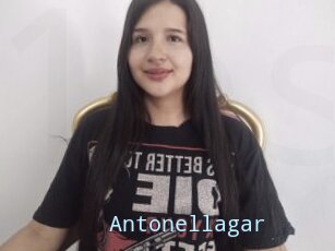 Antonellagar