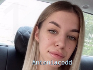 Antoniacodd