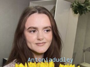 Antoniadudley