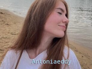 Antoniaeddy