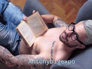 Antonybigexpo