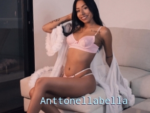 Anttonellabella