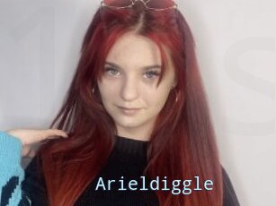 Arieldiggle