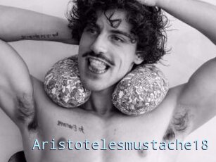 Aristotelesmustache18