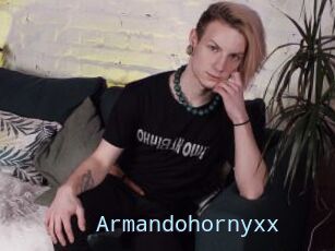 Armandohornyxx