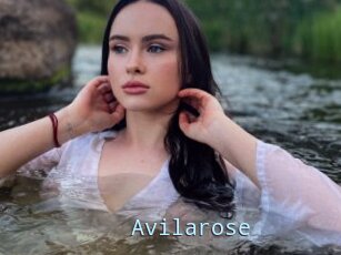 Avilarose