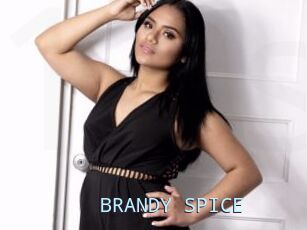 BRANDY_SPICE