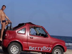 BerryBoy