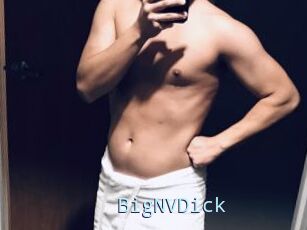 BigNVDick