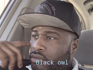 Black_owl