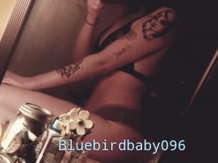 Bluebirdbaby096