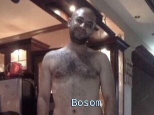 Bosom