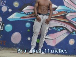 Brak_Dick11inches