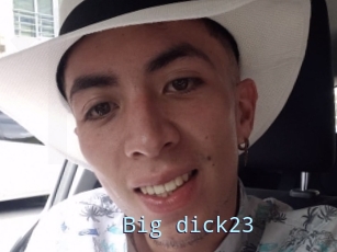 Big_dick23