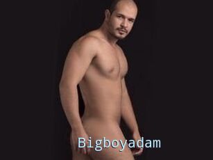 Bigboyadam