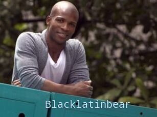 Blacklatinbear