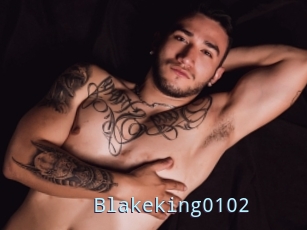 Blakeking0102