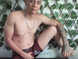 Bodsey