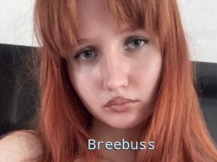 Breebuss