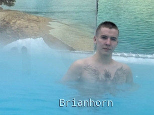 Brianhorn