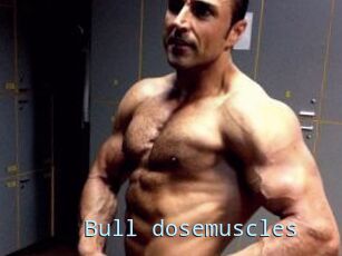 Bull_dosemuscles