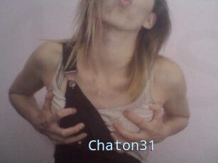 Chaton31