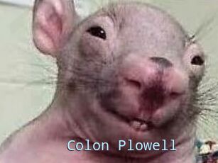 Colon_Plowell