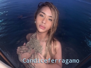 Candiceferragamo