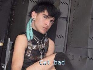 Cat_bad