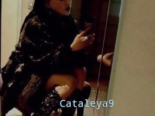 Cataleya9