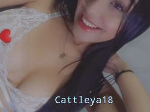 Cattleya18