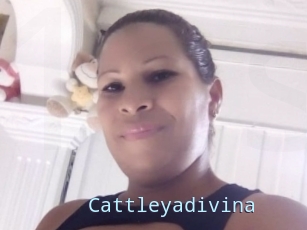 Cattleyadivina