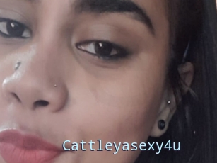 Cattleyasexy4u