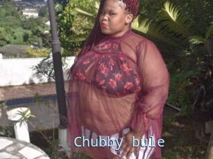 Chubby_bule